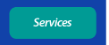 ana santo services